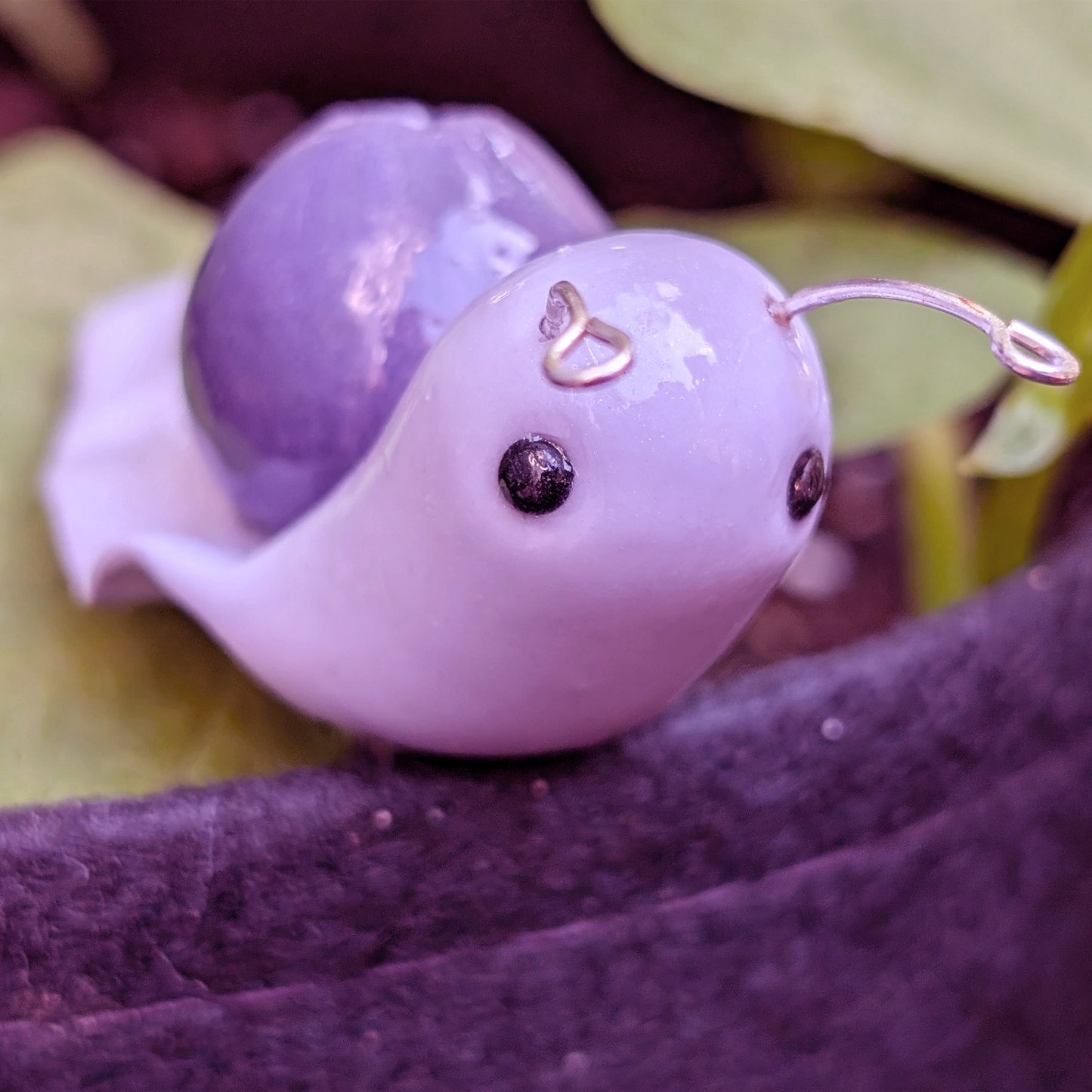 Blueberry Fruit Snail