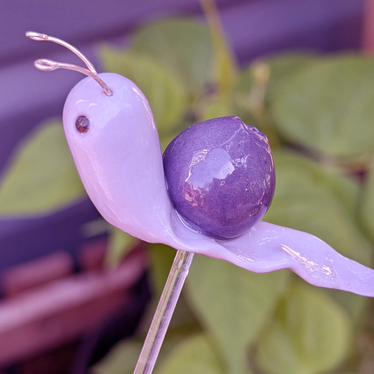 Blueberry Fruit Snail