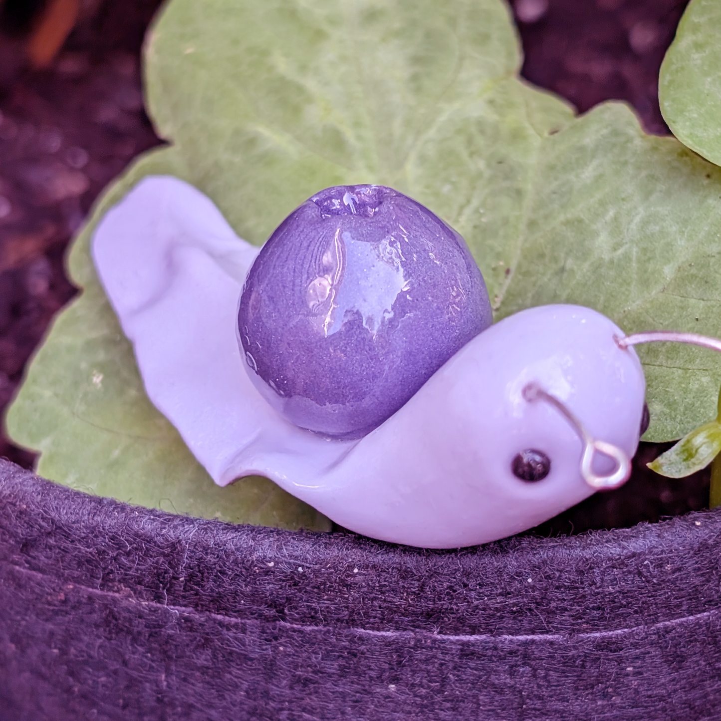 Blueberry Fruit Snail