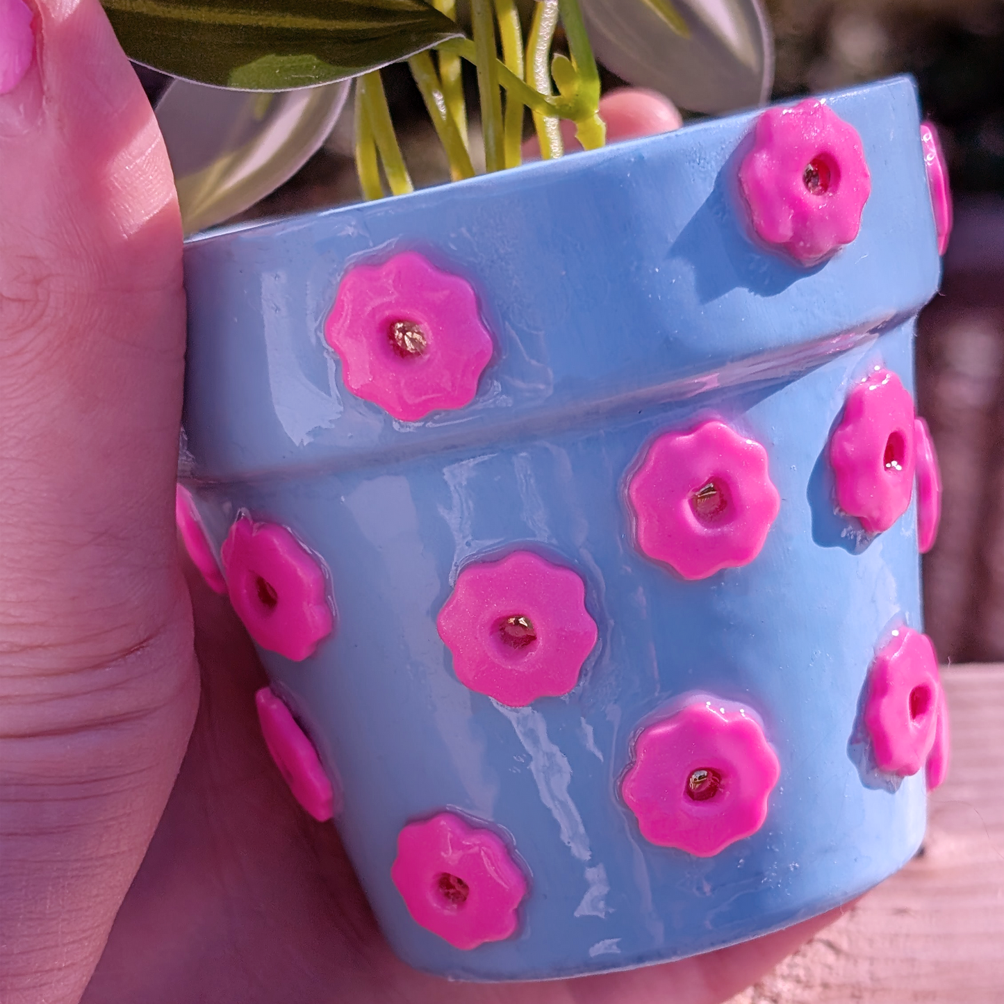Disco Blooms - Tiny Pot