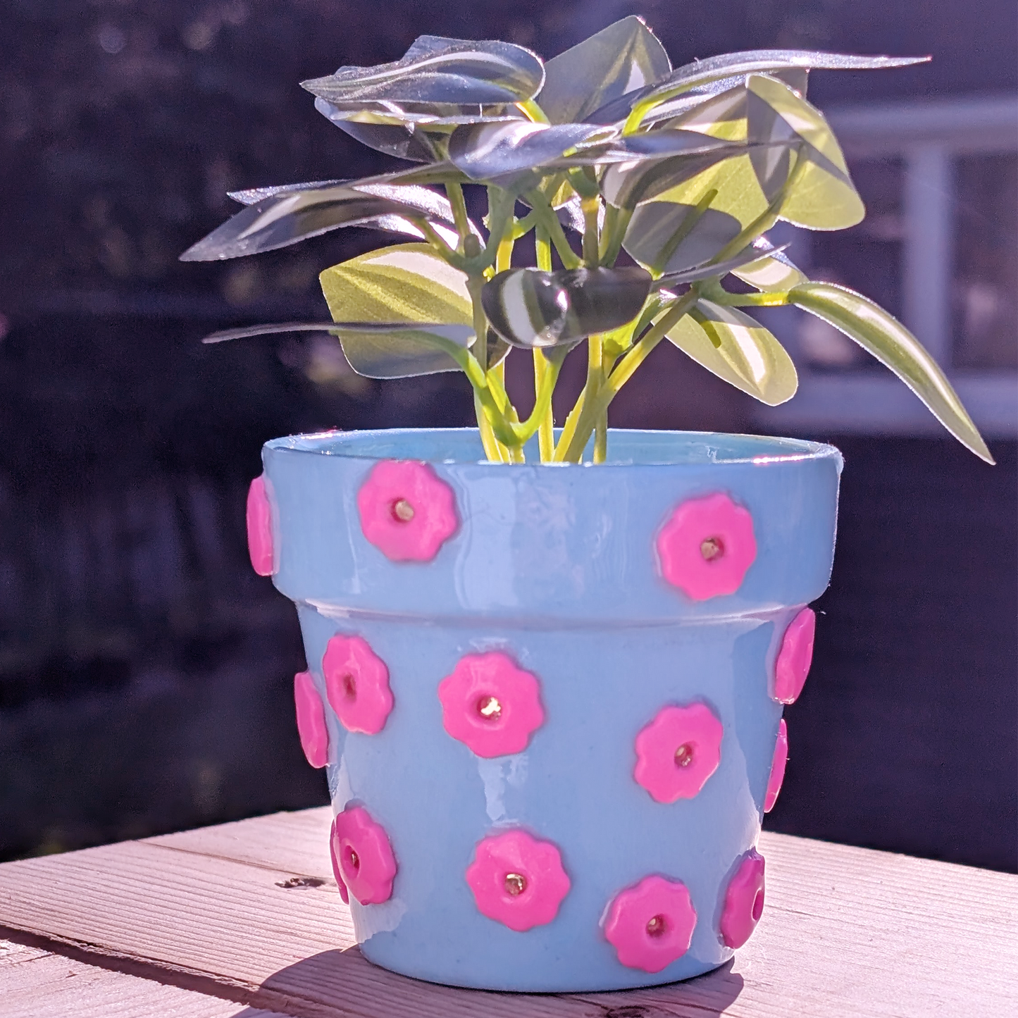 Disco Blooms - Tiny Pot